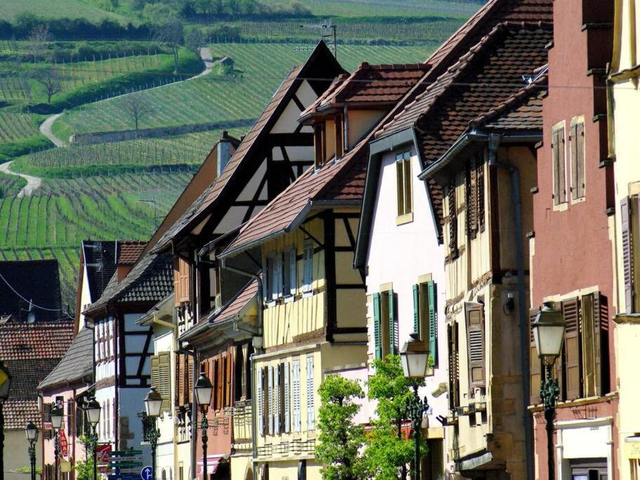 La Sorciere In A Typical Alsatian House Appartement Rouffach Buitenkant foto